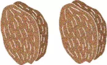 烹饪菜肴用的香辛料,料理必备调味料