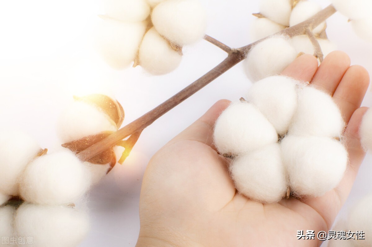 写作文观察力训练的十个方法,优秀专注力训练方法