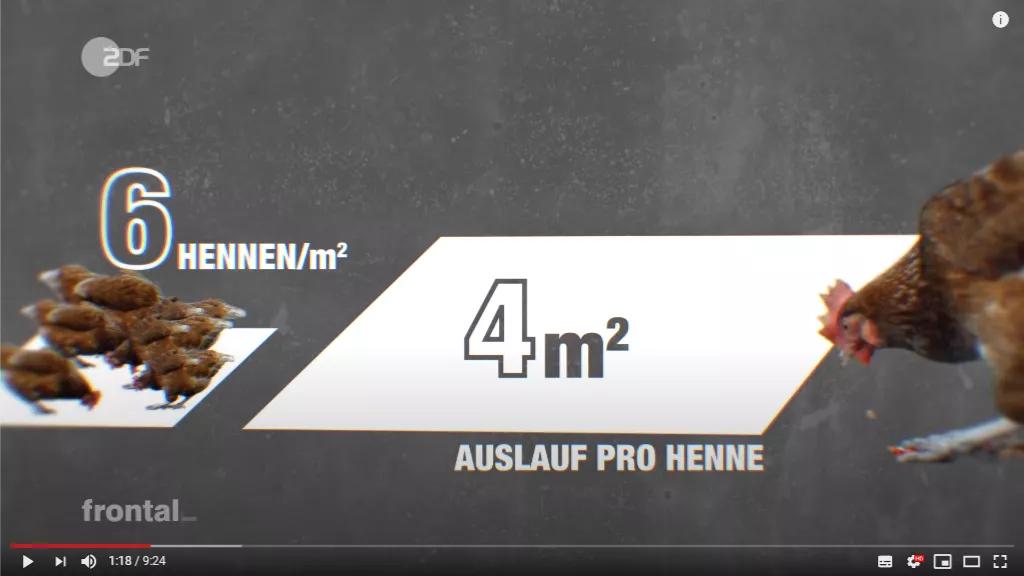 市场上的有机鸡蛋是真还是假,德国记者采访视频