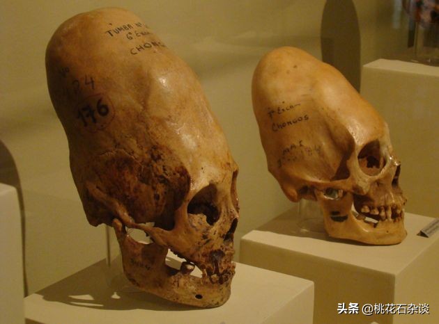 北魏击败吐谷浑,北魏打匈奴