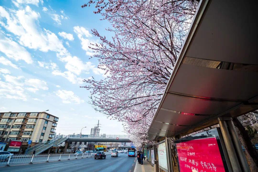 美过三亚!比厦门浪漫!大连这座海滨老城,去一次相当于环游世界