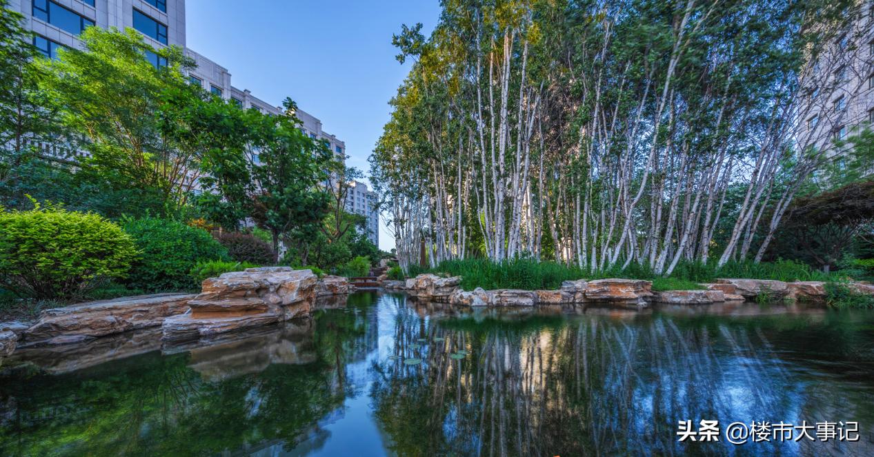 大苑海淀府的房值得买吗,大苑地产