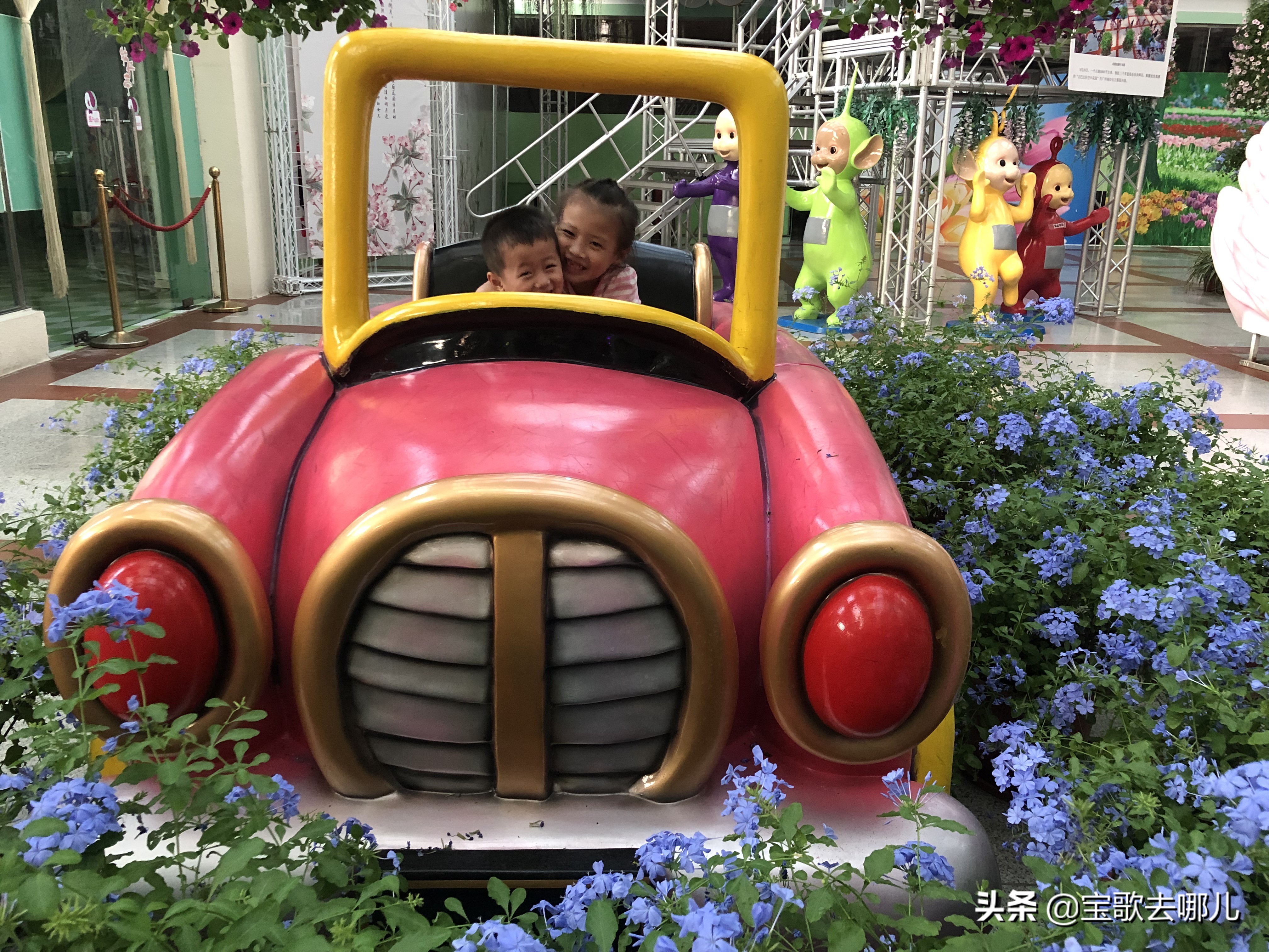 南沙百万葵园游记,南沙百万葵园亲子游