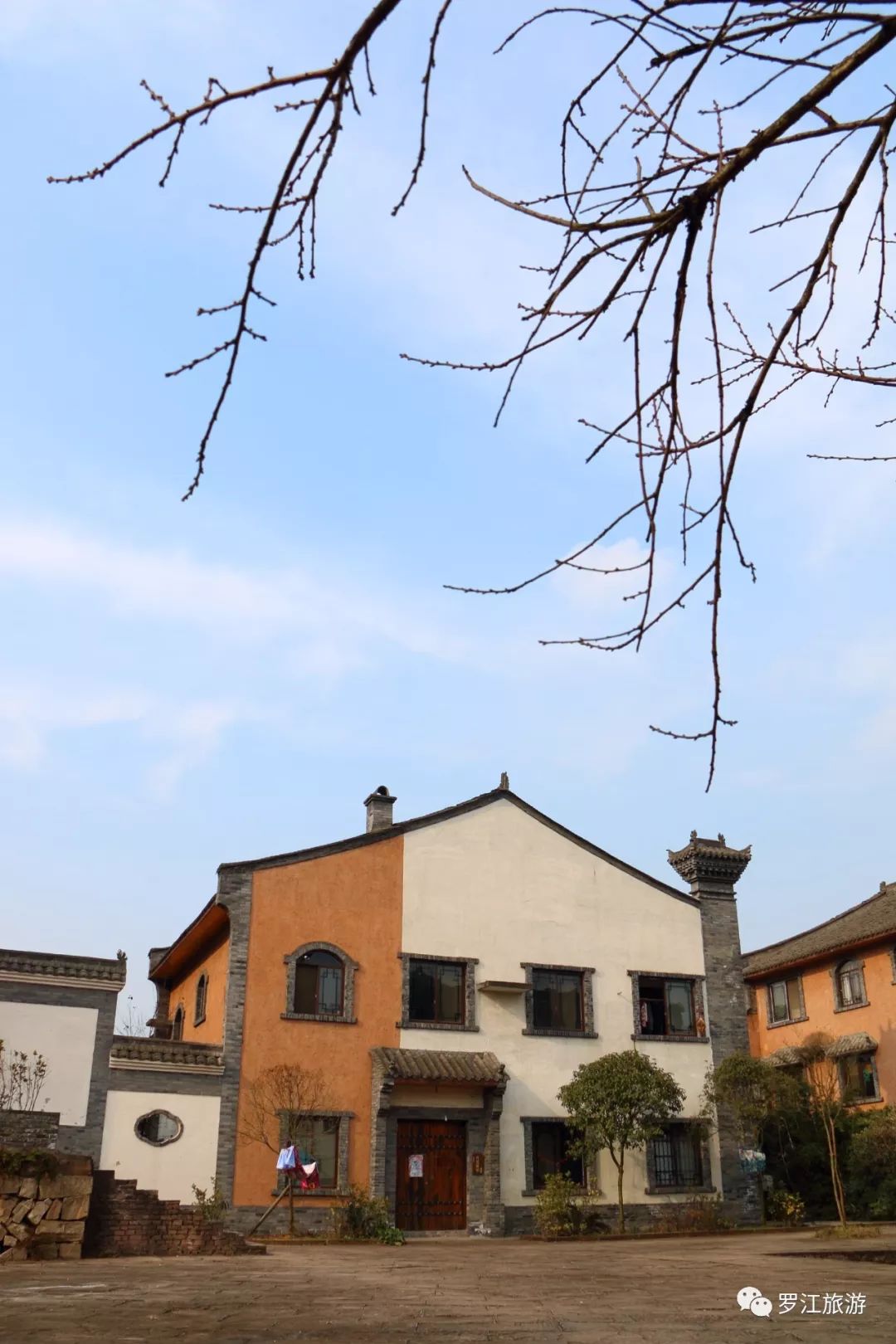 罗江赏梅花,罗江的礼物去哪买