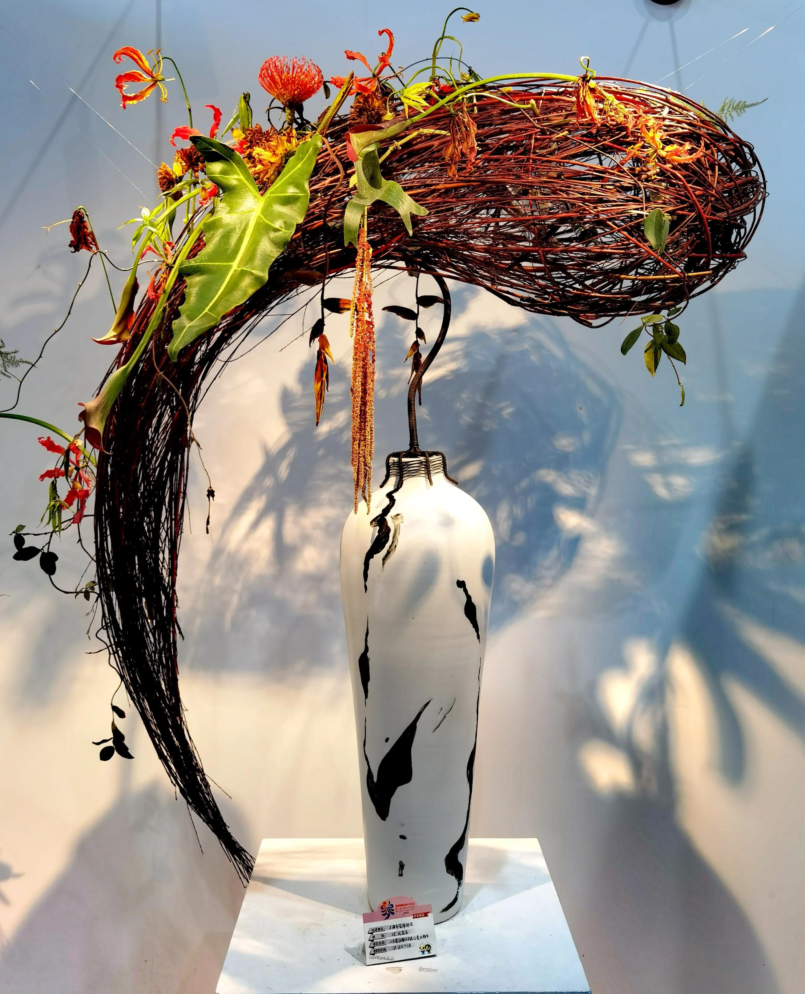 关于崇明花博会,崇明花博会全程花景