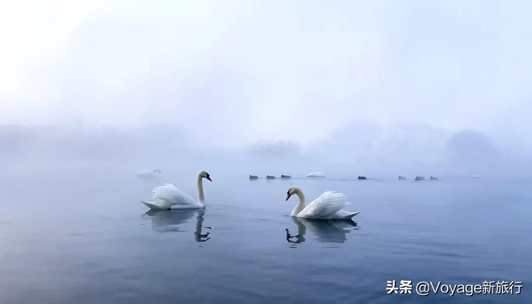 27个世界湿地日,世界湿地之都