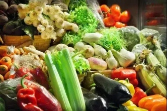 日本学习农业需要哪些条件,从日本学到什么