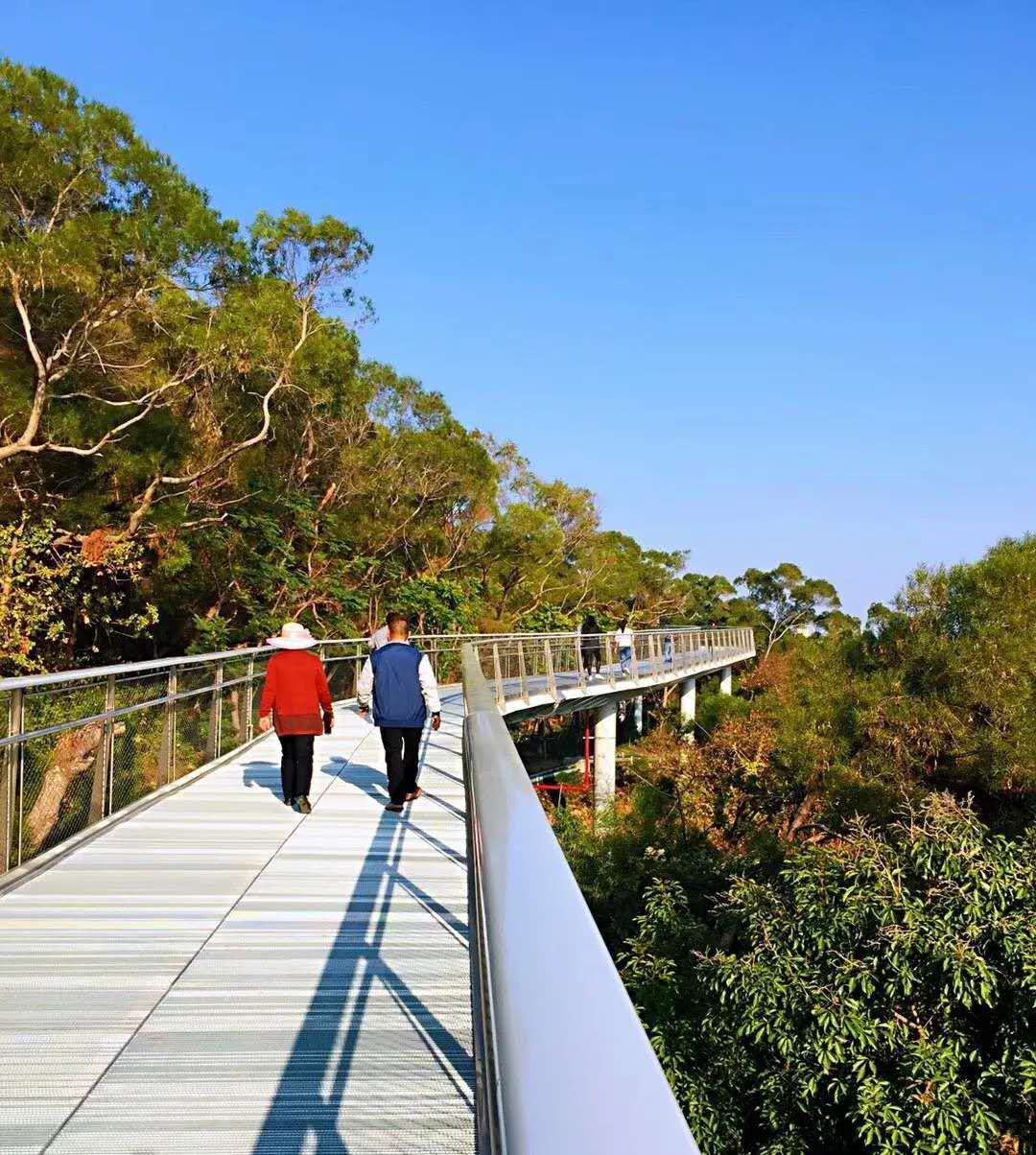 一年四季都暖和城市,厦门是一座四季如春的城市