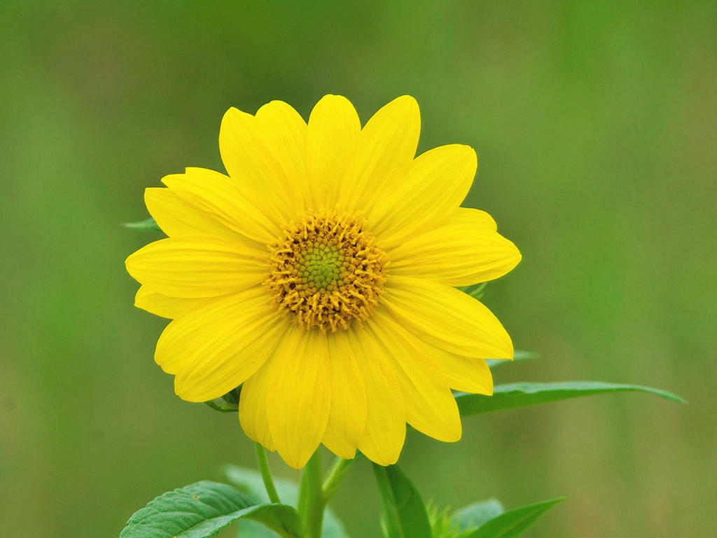 十二星座中谁跟天蝎最合适,十二星座谁最能读懂天蝎