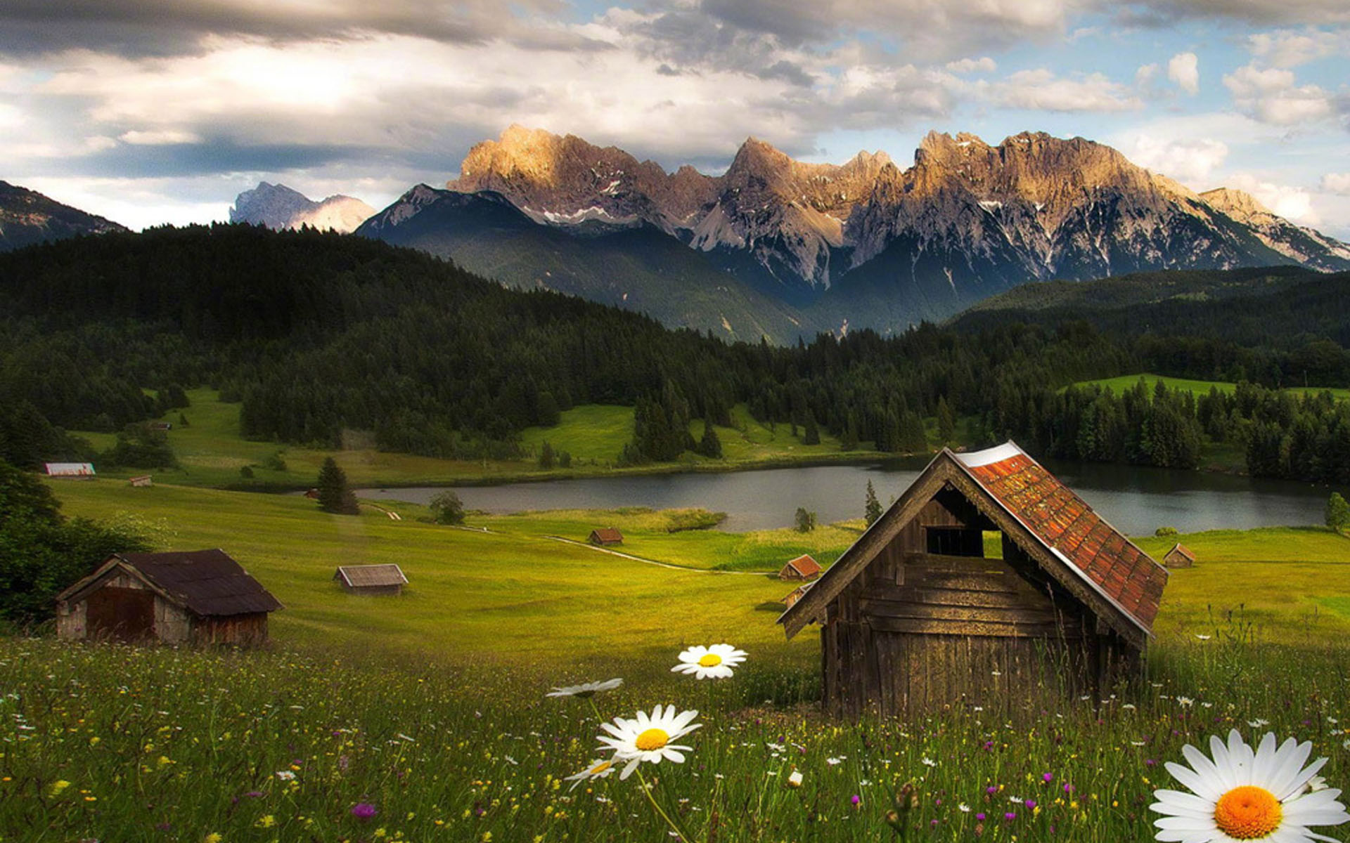 特别伤感的情感语录短句,伤感人生感悟情感语录