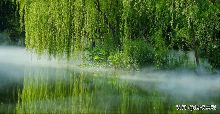 陈从周的园林作品有哪些,陈从周中国园林风格