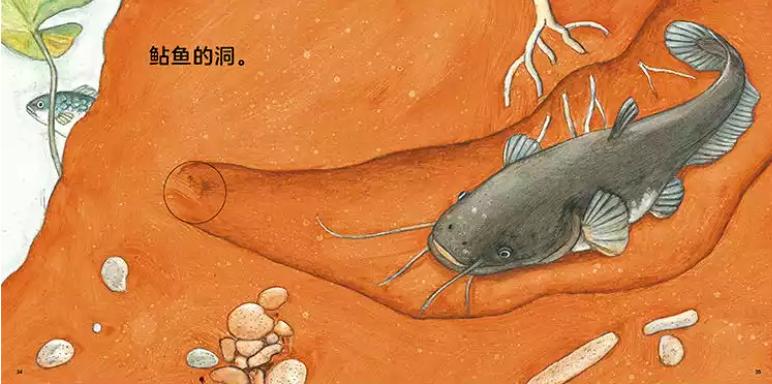 适合5-6岁孩子的绘本书单,适合6岁看的绘本书单