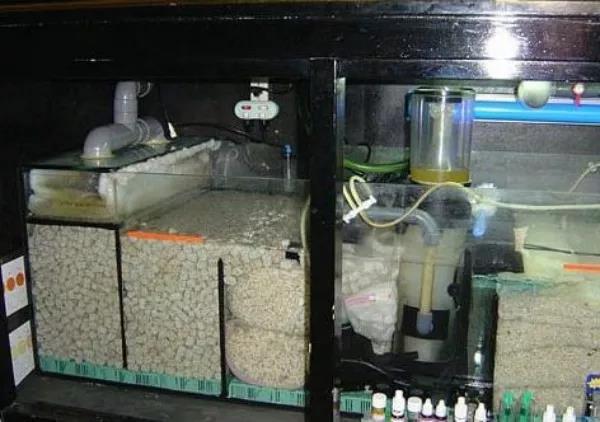 草缸培养硝化细菌,如何培养硝化细菌屋