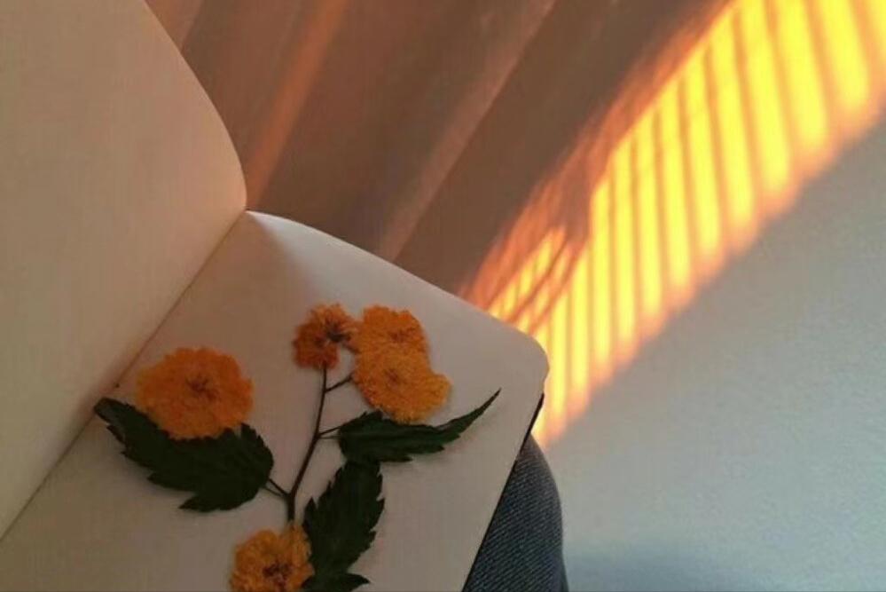 和摩羯座交往的三个阶段是,如何和摩羯座感情升温呢