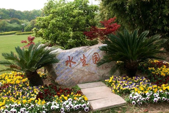 上海全部游玩,上海一日游景点推荐最全攻略