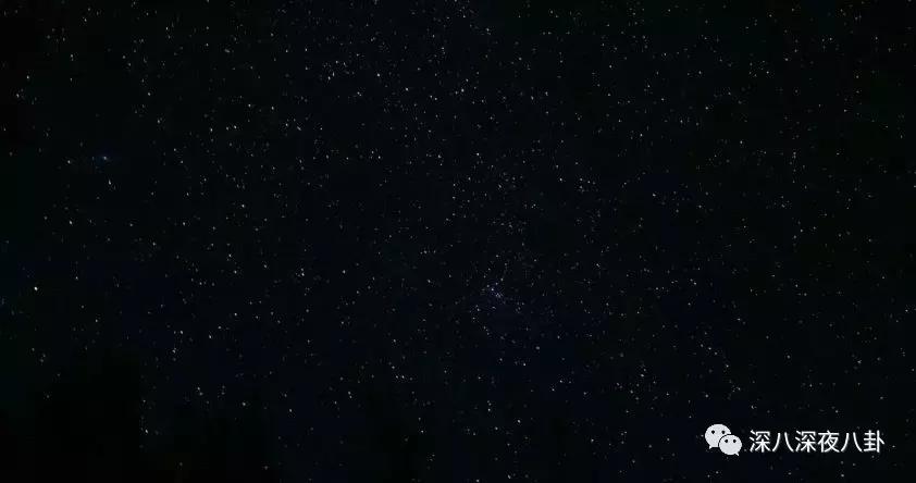 最新神仙综艺节目,2019高分冷门的良心综艺安利