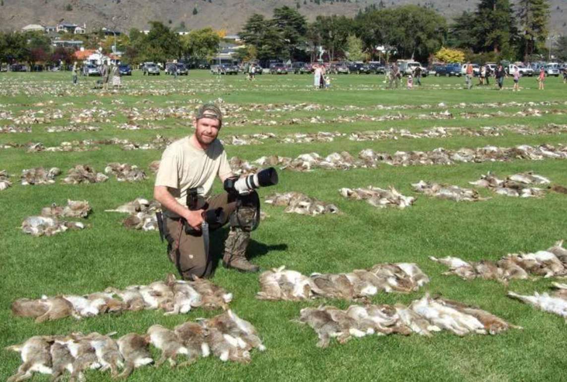 人兔大战：澳大利亚被约100亿只兔子折腾疯了，最后派出轰炸机