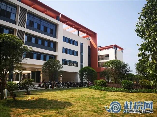 “起跑线”的竞争下,桂林楼市“教育地产”正盛!到底能不能买?