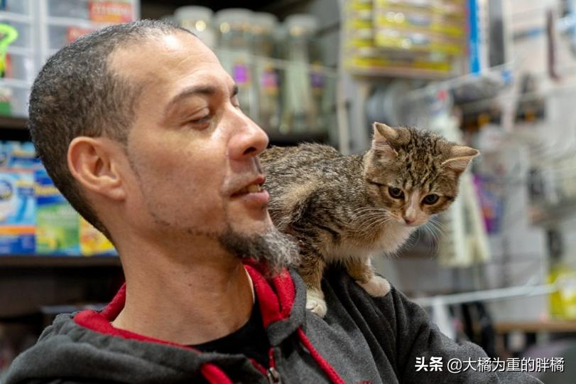 小伙将超市小猫偷偷抱走，却让自闭男孩失去唯一朋友，他也很爱猫
