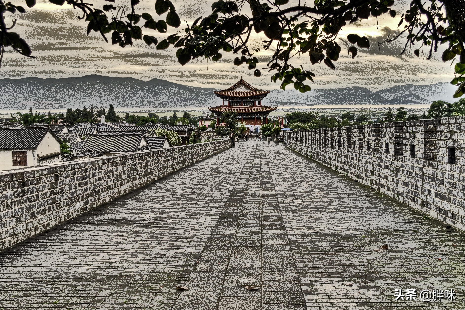 卫戍之战,合肥之战合肥守军将领