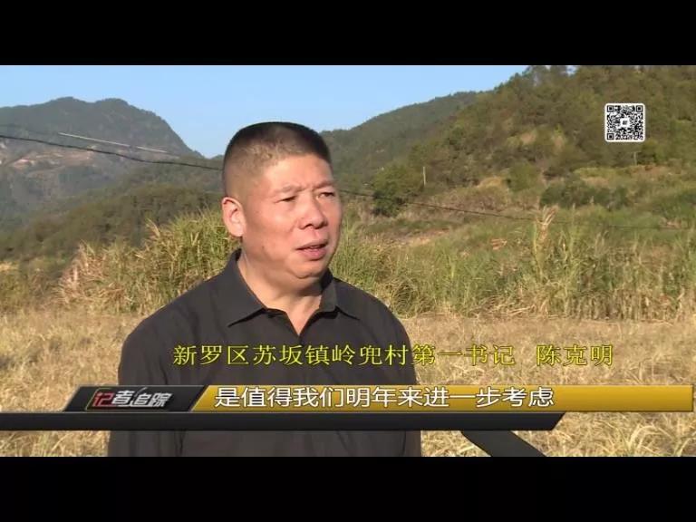 苏坂镇：两年达村级脱贫，驻村书记陈克明把初心写在岭兜的土地上