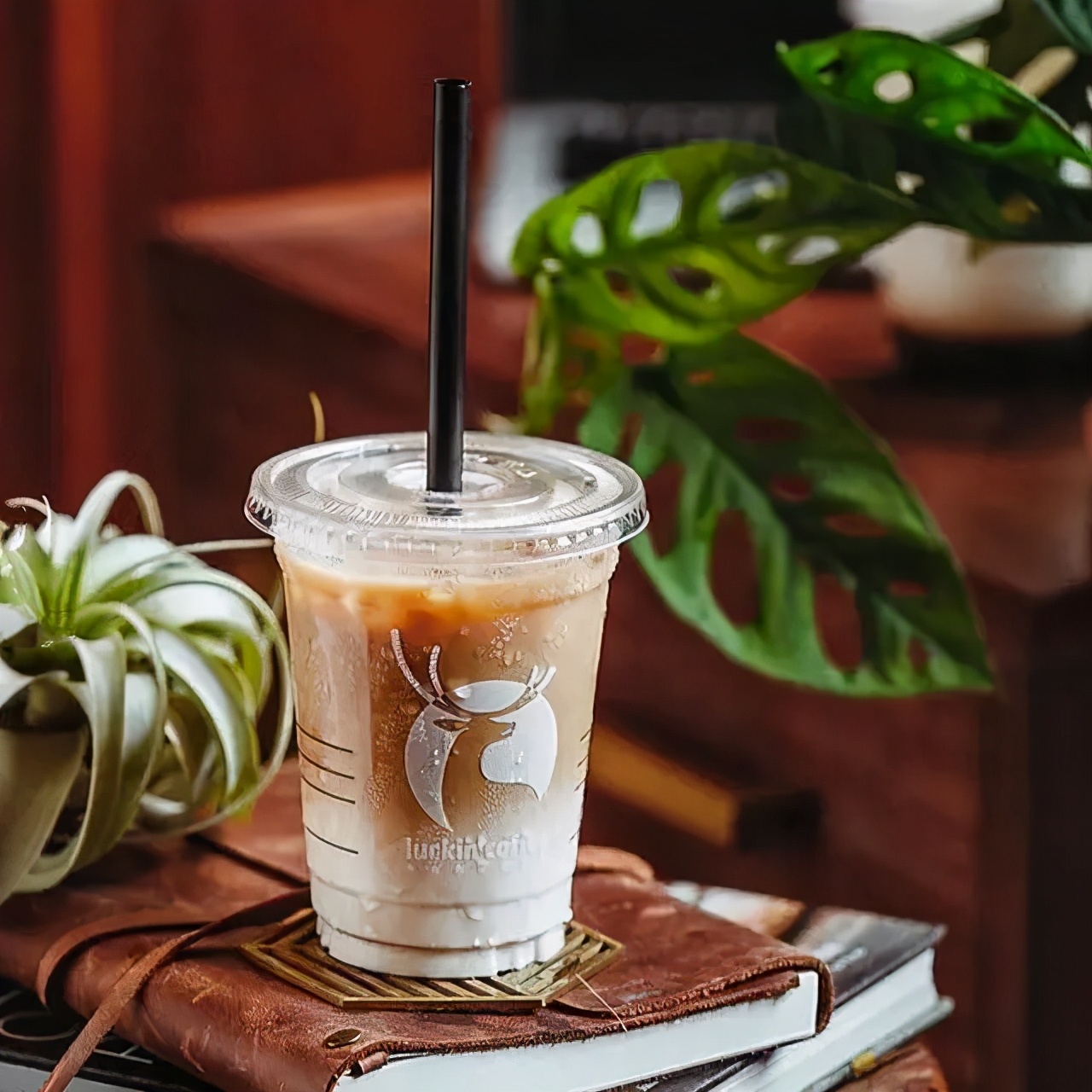 配方奶100年史,纯奶自调饮品