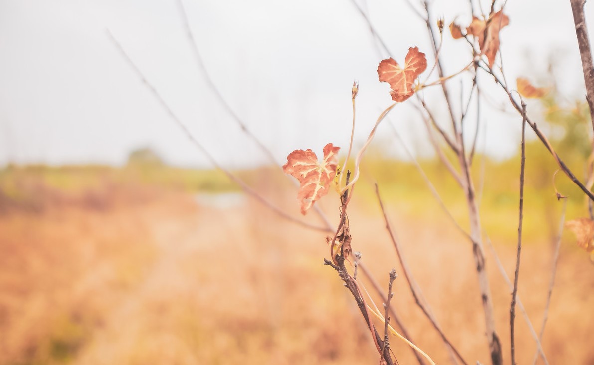网店副业拼多多商机,闲鱼和拼多多怎样做副业