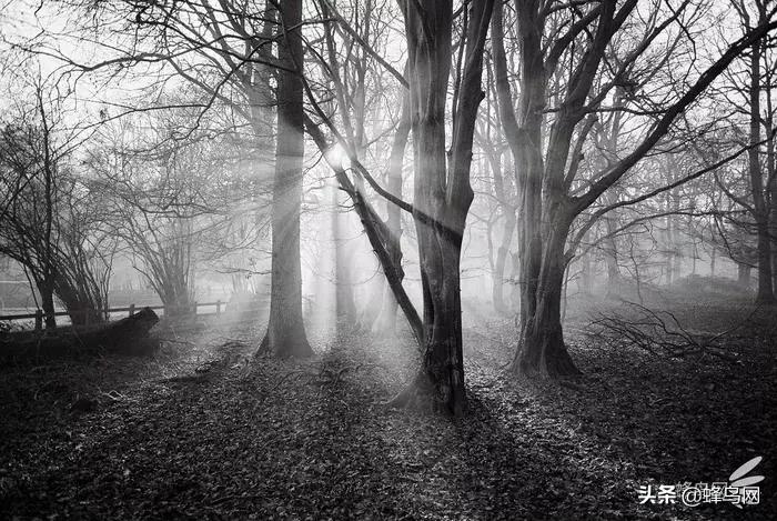 那些惊艳众人的封神镜头,小众广角镜头排行榜