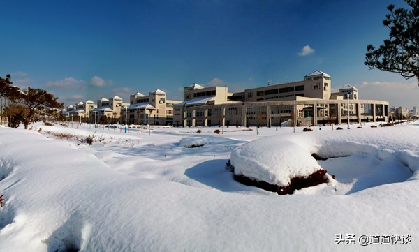 可以看海的烟台大学，校园风景真美