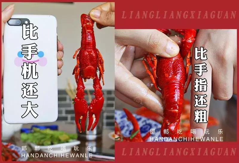 邯郸靓靓虾馆和文记虾馆,邯郸靓靓虾馆总店