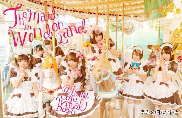 鲨鲨｜秋叶原｜女仆咖啡厅