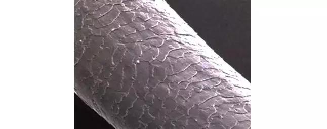 染发头发干枯毛躁怎么护理,头发干枯毛躁护理妙招