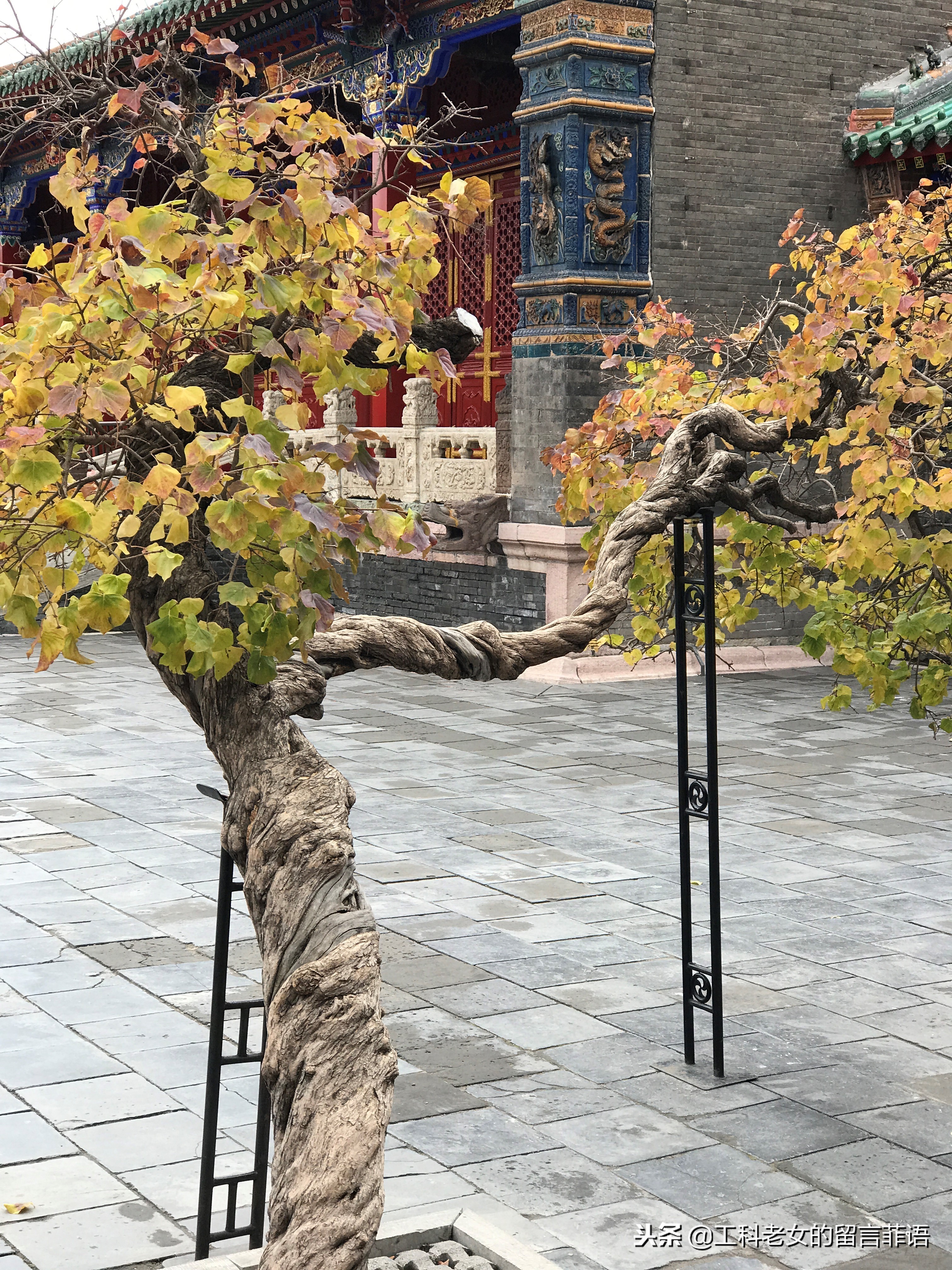 沈阳故宫具有浓厚的满族特色,沈阳故宫人气爆表