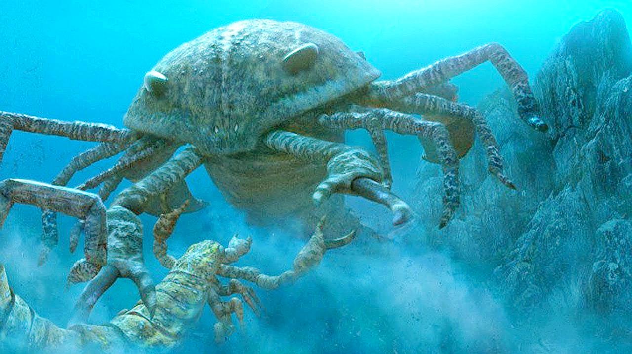 邓氏鱼怎么灭亡,邓氏鱼用什么驯服