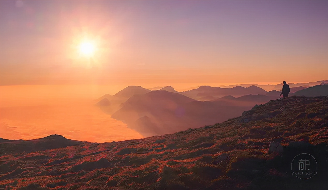 刻在骨子里的教养人生感悟,成年人骨子里的教养