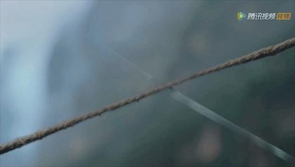 从万众期待到争议不止,从满怀期待到一次次望眼欲穿