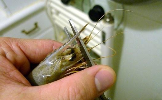 为什么抖音做的油焖大虾那么红亮,红亮油焖大虾最正确的方法