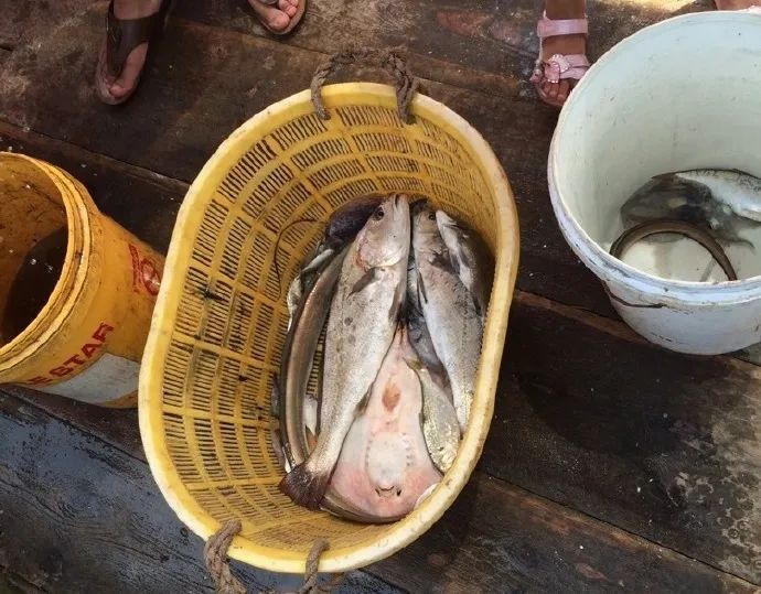 国家地理最美十大海岛,中国十大最美海岛有哪些