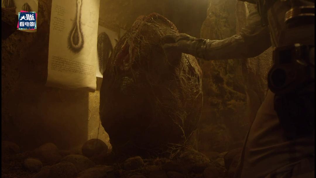 异形契约30分钟番外,异形契约5分钟看完