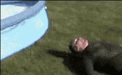 搞笑gif开心一刻单身也挺好,搞笑gif开心视频