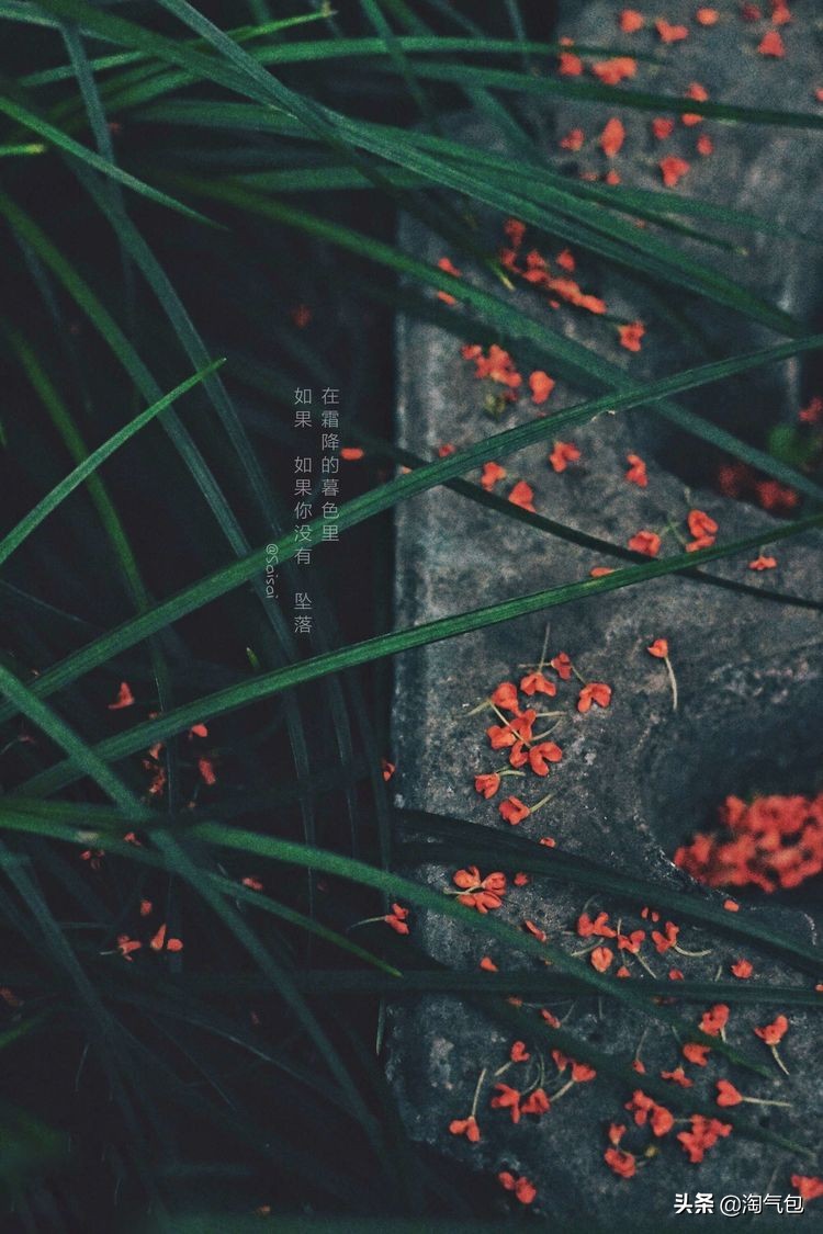 秋分一半热烈一半安详,秋分秋天分两半