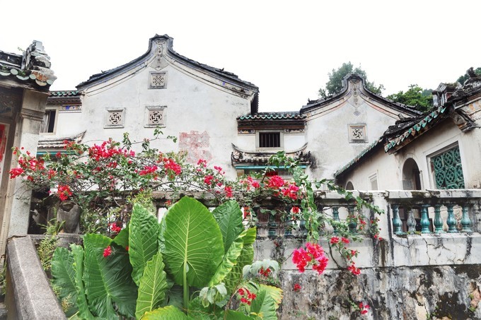 梅州采茶,梅州采茶体验