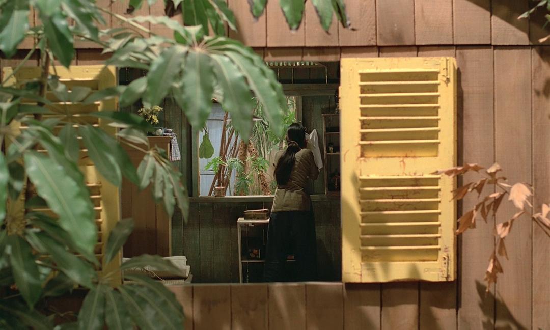 青木瓜之味视频,青木瓜之味超清