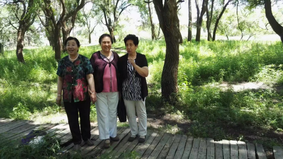 多伦榆木川有玛瑙吗,多伦县榆木川地图