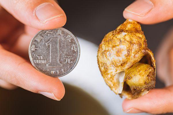 全网吃虾第一名,吃虾全网第一