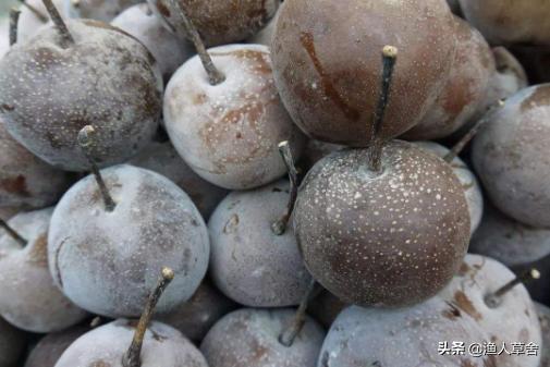 辽宁大连有什么土特产品,大连特产农产品标志