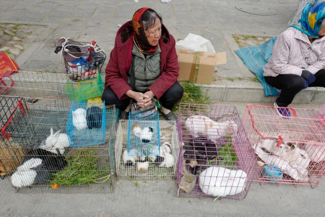 带你看大理的苍山洱海,大理洱海你去过感觉怎样