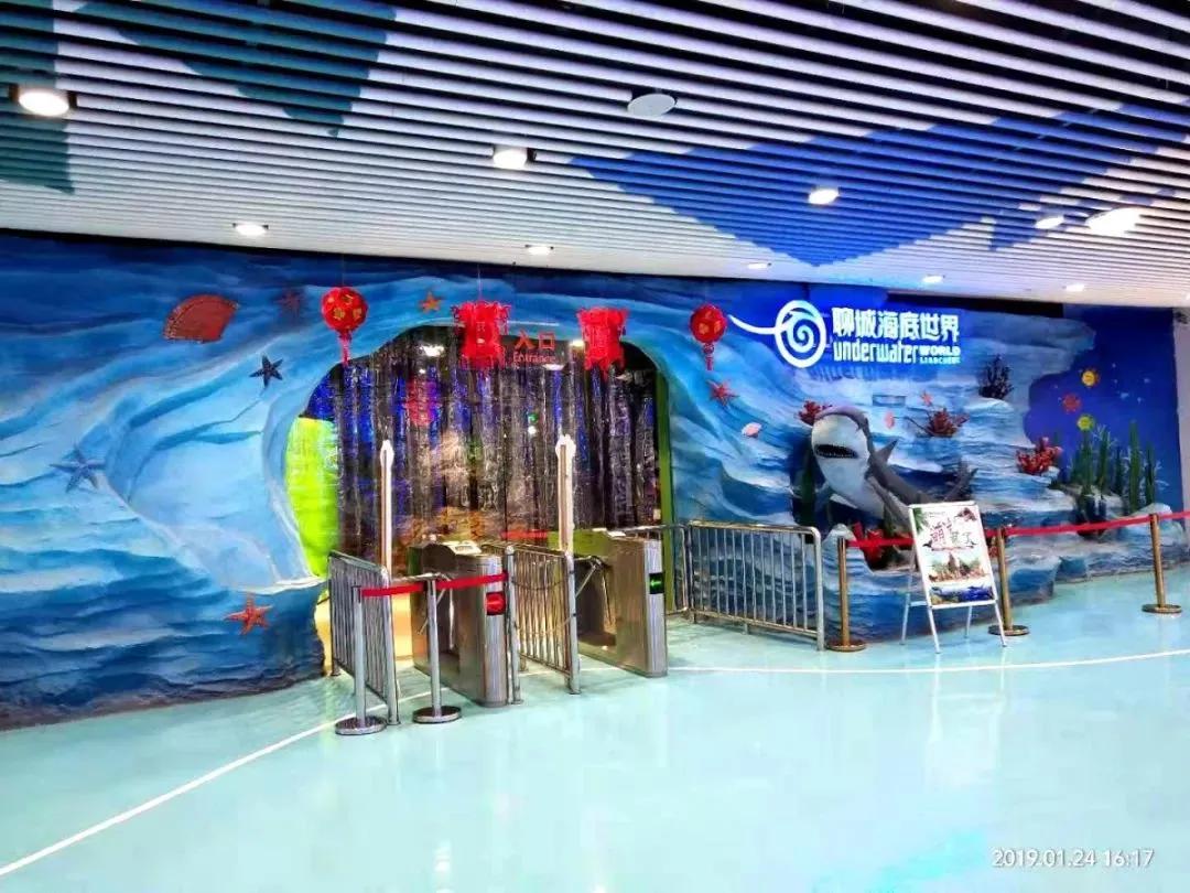 海底世界搬到自己家,海底世界聊城入园