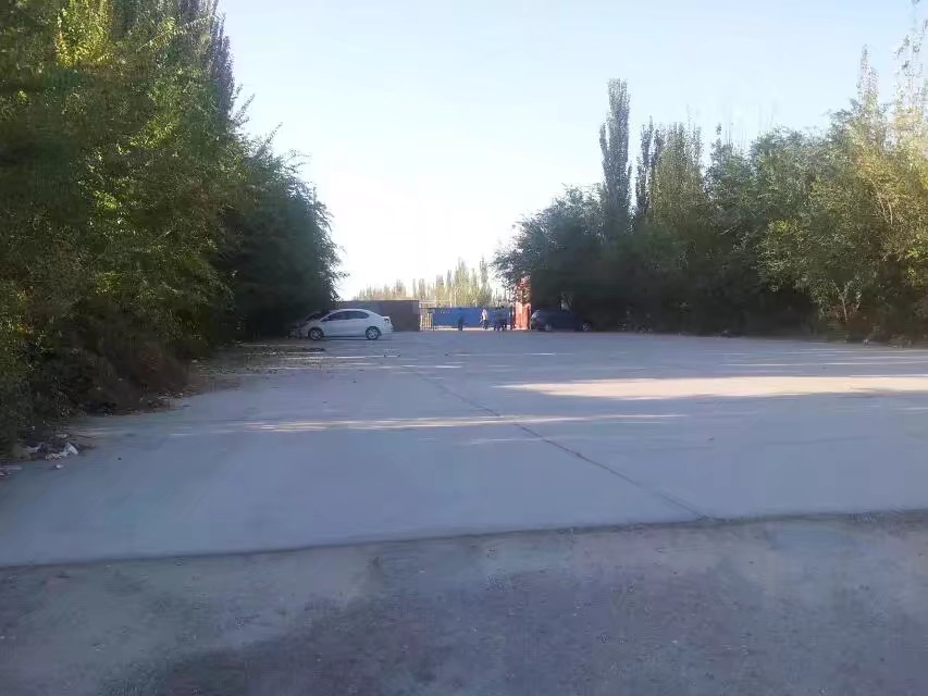 驾考时间是固定的吗,驾考哪段时间通过率高