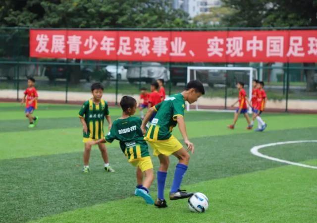 中国985211名单,中国足球经历历史最低谷